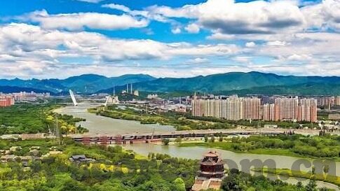 河南建业足球比分-河南建业，绿茵场上的坚韧之师，比分背后的热血与荣耀