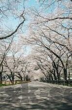 室内足球比分-室内足球，小空间迸发大能量，比分背后的激情与策略